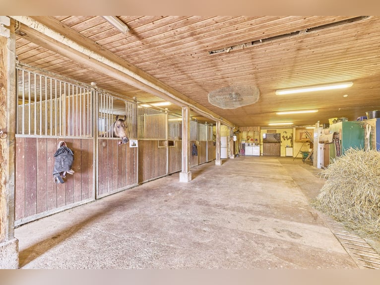 Reitanlage in Eppingen mit Gastronomiebetrieb in malerischer Alleinlage – die Moonlight Ranch!