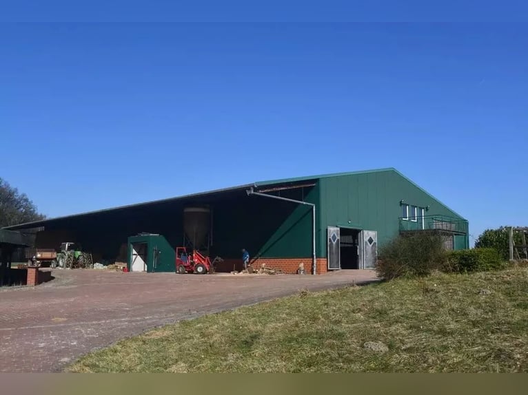 Reitanlage in malerischer Lage