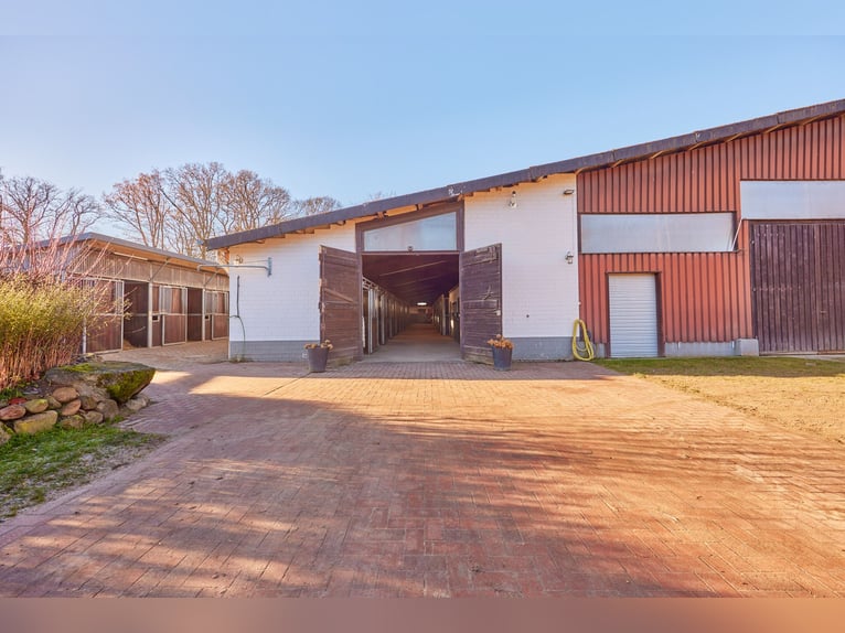 Reitanlage in Niedersachsen (Landkreis Uelzen) mit Wohn- und Gästehaus zu verkaufen!