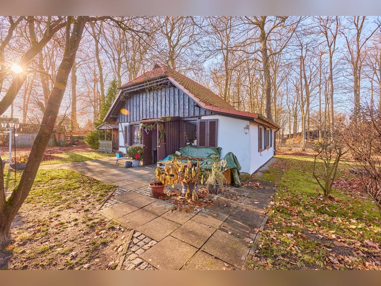 Reitanlage in Niedersachsen (Landkreis Uelzen) mit Wohn- und Gästehaus zu verkaufen!