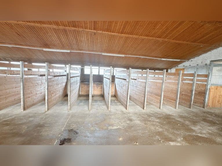 Reitanlage mit Wohnhaus, arrondierten Flächen und moderner PV-Anlage