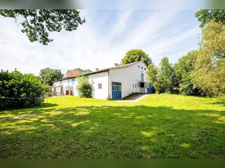 Reiterhof mit historischem Gutshaus im Aller-Leine-Tal zu verkaufen - 7 ha arrondierte Flächen