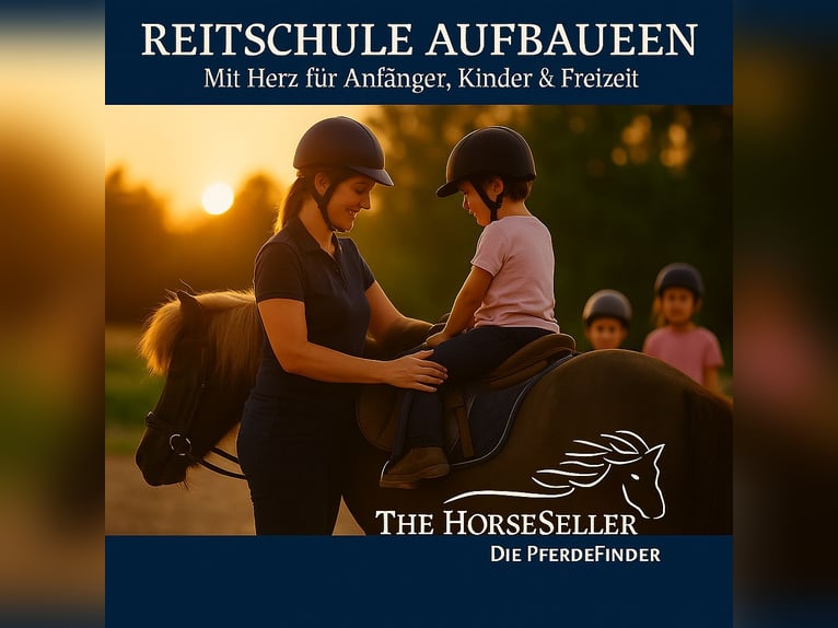 Reitschule gründen – auf professioneller Anlage mit voller Unterstützung