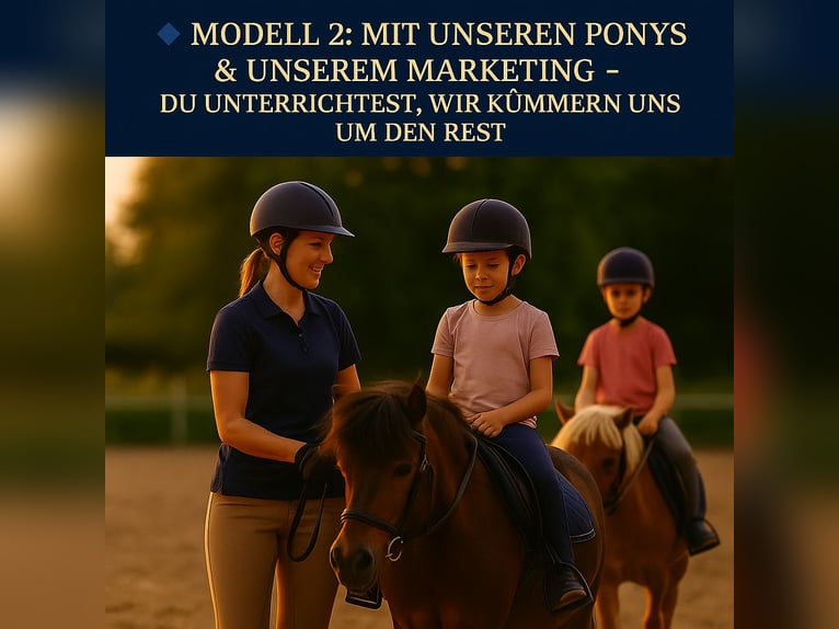 Reitschule gründen – auf professioneller Anlage mit voller Unterstützung