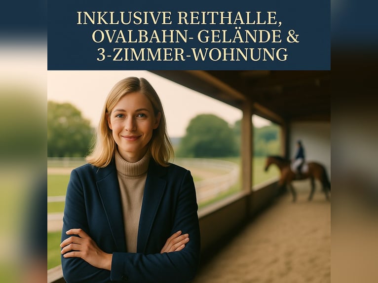 Reitschule gründen – auf professioneller Anlage mit voller Unterstützung