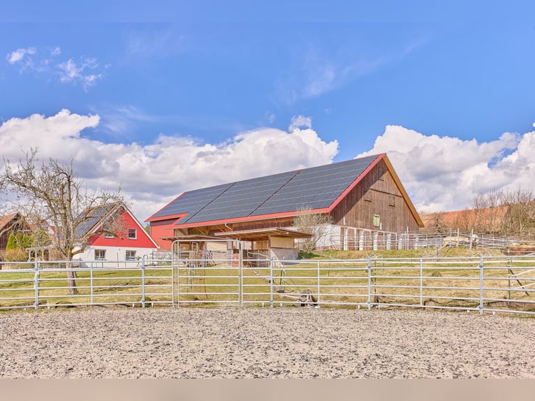 *Reserviert* Pferdeimmobilie im Schwarzwald - Traumhafte Blicklage gepaart mit moderner Stallung!