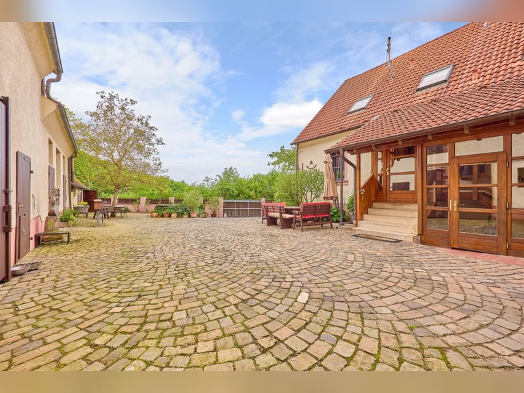 *Reserviert*Pferdeimmobilie im Donnersbergkreis – Charmantes Hofensemble mit privater Pferdehaltung 