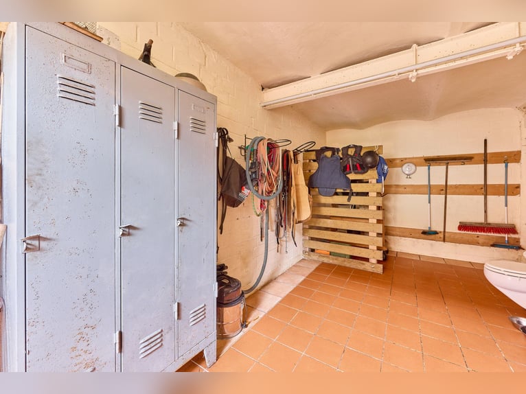 *Reserviert*Pferdeimmobilie im Donnersbergkreis – Charmantes Hofensemble mit privater Pferdehaltung 