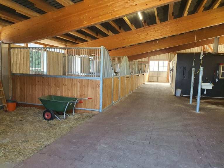 Residenza esclusiva per cavalieri con vista sulle Alpi – Paradiso equestre con prospettive V13084