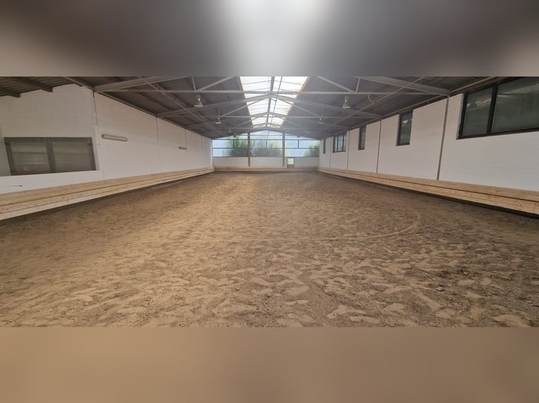 RISERVATO - Struttura equestre professionale per il grande sport nella regione metropolitana Rhein-N