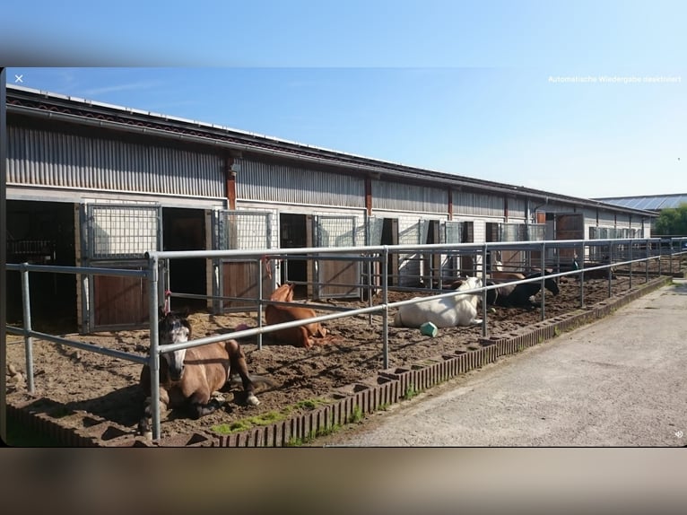 RISERVATO - Struttura equestre professionale per il grande sport nella regione metropolitana Rhein-N