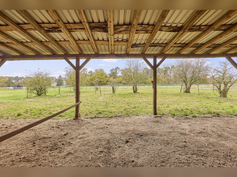 Ruhig gelegener Pferdehof in Lorsch an der Bergstraße mit romantischem Holzhaus!