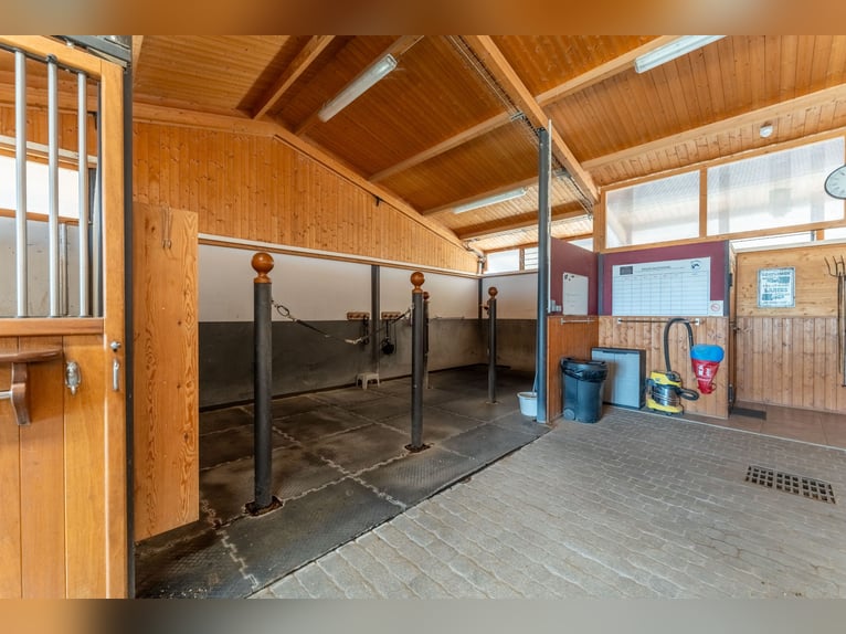 Scuderia sportiva di alta gamma
