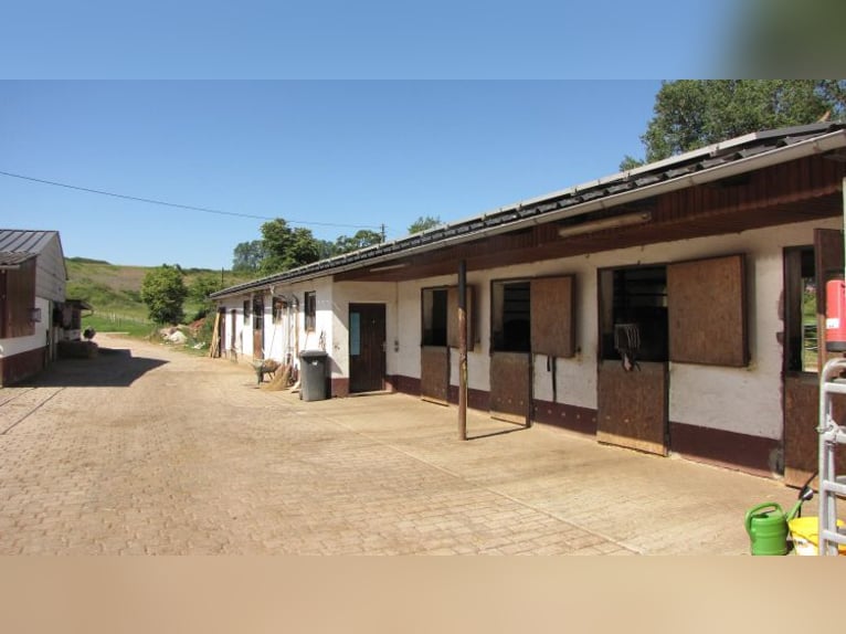 Senza provvigioni: rinomata struttura equestre con due maneggi coperti, paddock e impianto fotovolta