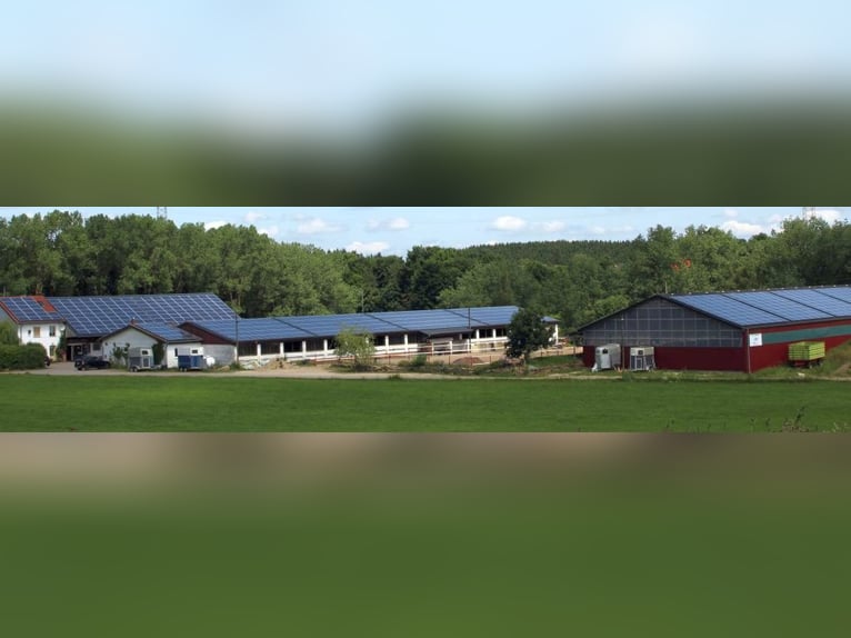 Senza provvigioni: rinomata struttura equestre con due maneggi coperti, paddock e impianto fotovolta