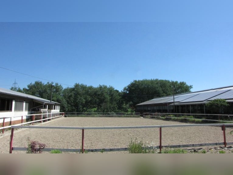 Senza provvigioni: rinomata struttura equestre con due maneggi coperti, paddock e impianto fotovolta