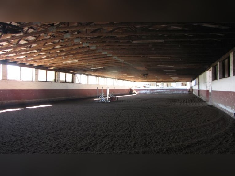 Senza provvigioni: rinomata struttura equestre con due maneggi coperti, paddock e impianto fotovolta