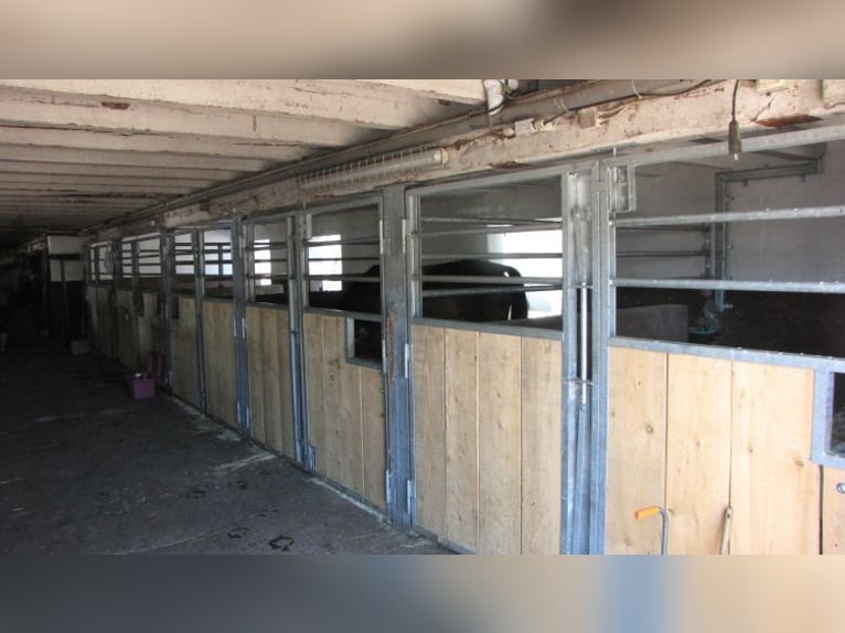 Senza provvigioni: rinomata struttura equestre con due maneggi coperti, paddock e impianto fotovolta