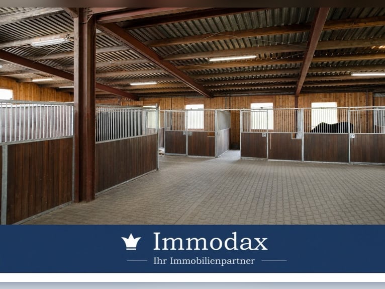 Sogni di cavallo a Bad Oeynhausen, centro ippico con indoor arena propria