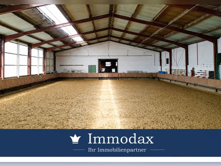 Sogni di cavallo a Bad Oeynhausen, centro ippico con indoor arena propria