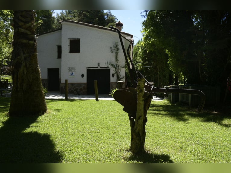 SOUTH OF SPAIN. HORSEFARM AND RURAL HOUSE 