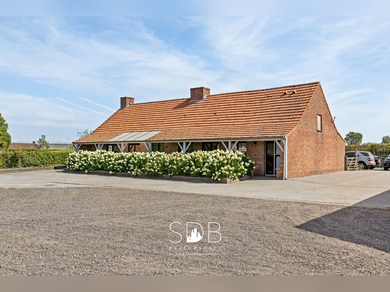 Splendida casa di campagna con struttura ippica su 25.910 m² a Anversa | Belgio