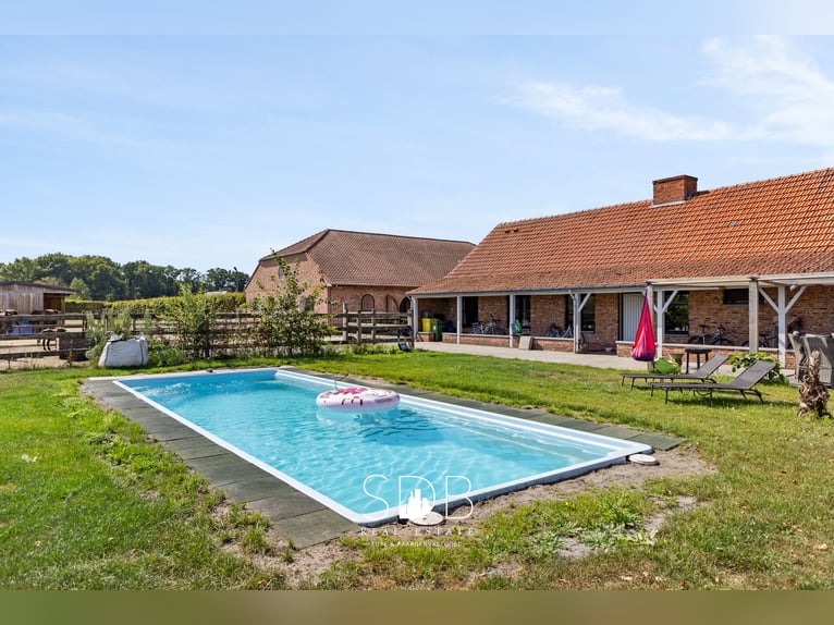 Splendida casa di campagna con struttura ippica su 25.910 m² a Anversa | Belgio