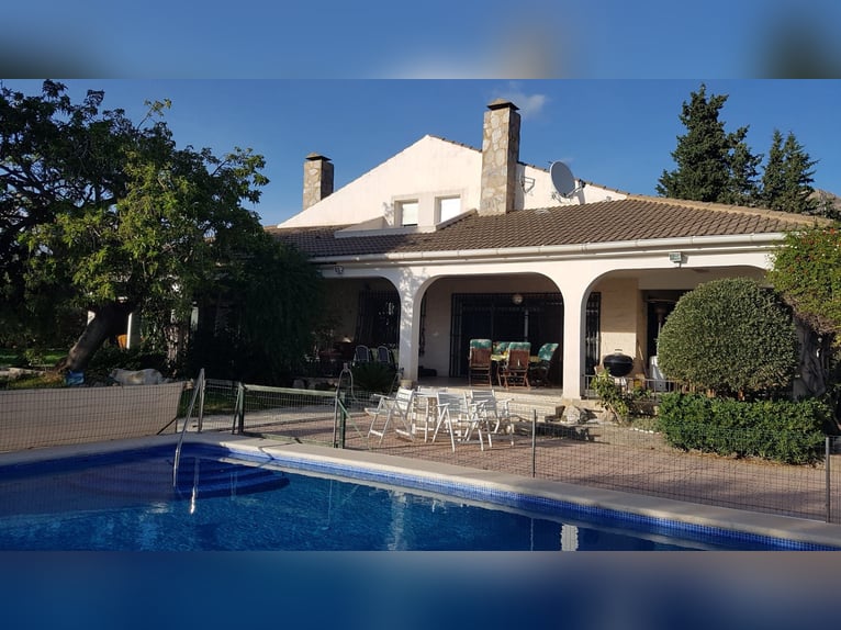 Splendida tenuta equestre con chalet vicino al mare.