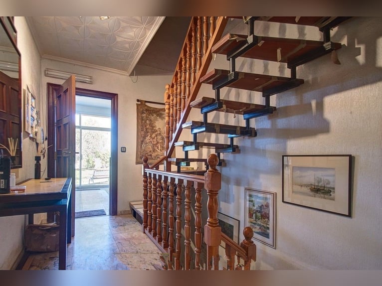 Splendida tenuta equestre con chalet vicino al mare.