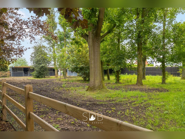 Splendida villa con piscina, stalle per cavalli, paddock e terreno erboso su 1,3 ettari - 1790 Affli