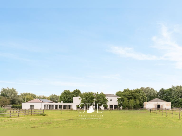 Splendida villa con struttura equestre e pascoli su circa 23 ettari - 9800 DEINZE