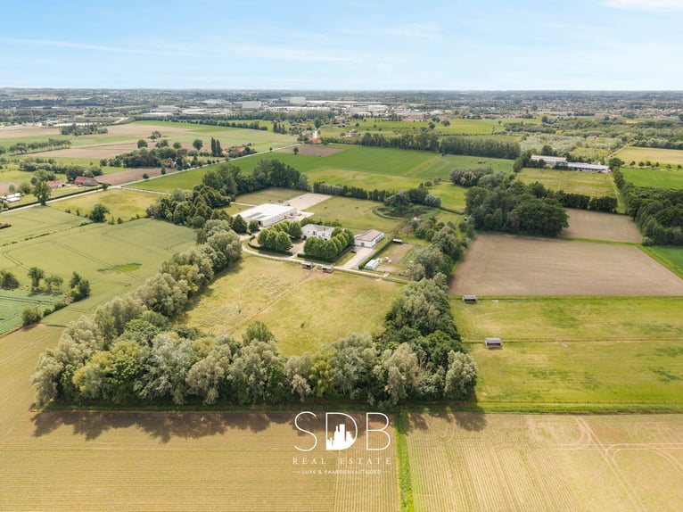 Splendida villa con struttura equestre e pascoli su circa 23 ettari - 9800 DEINZE