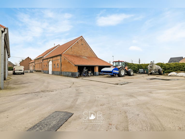 Splendida villa in stile Hoevestijl con dependance e prati su un terreno di 89.070 m² - 2811 Leest