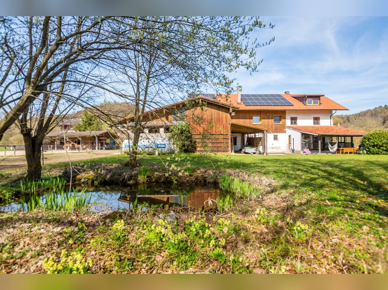 Splendido casale con area dedicata ai cavalli ristrutturata, situato a Zeilarn (a est di Monaco), se