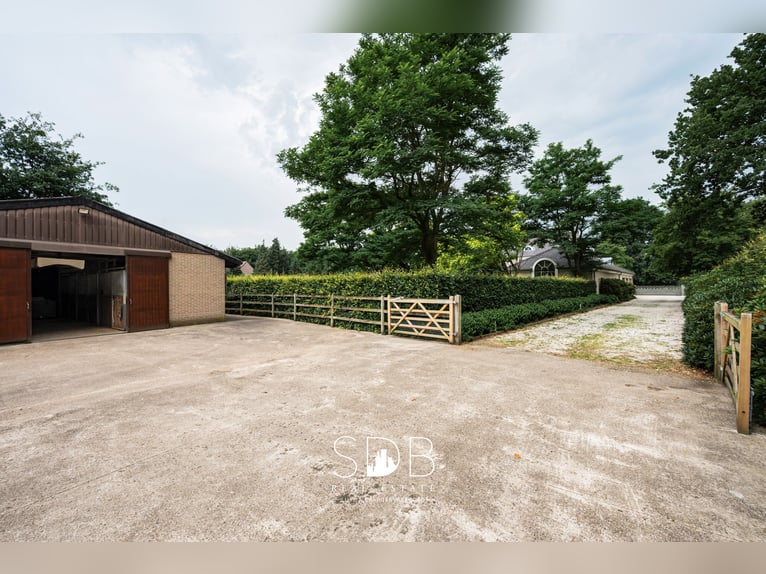 Splendido casale con strutture per cavalli su 15.804 m² a Haasdonk