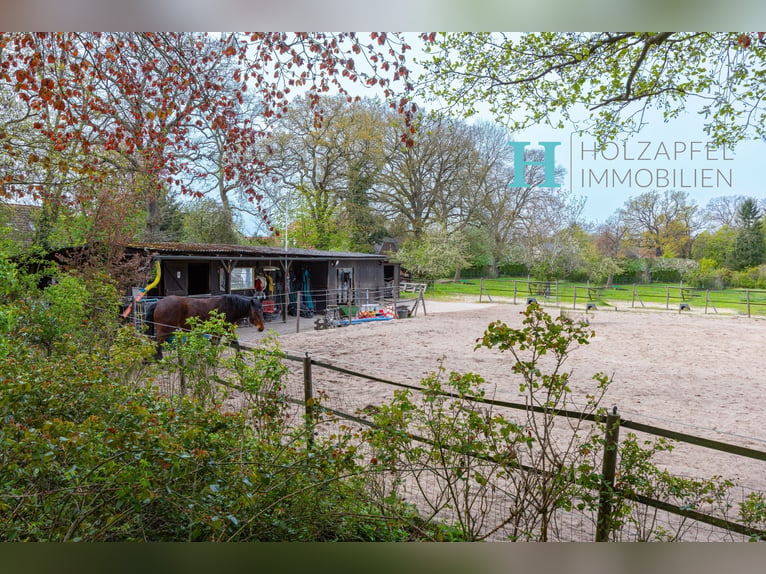 Splendido casale con tetto di paglia, situato ai confini di Amburgo, con paddock e box per cavalli