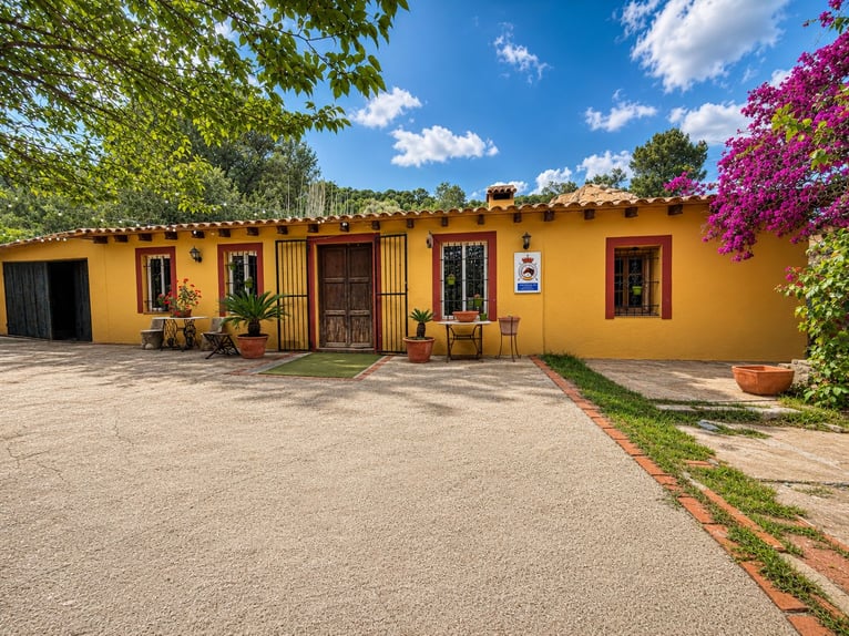 Splendido centro equestre a Valencia (Costa Blanca)