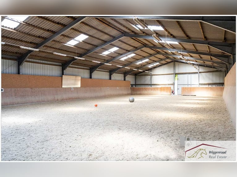 Splendido complesso equestre in posizione isolata nel NRW, Germania