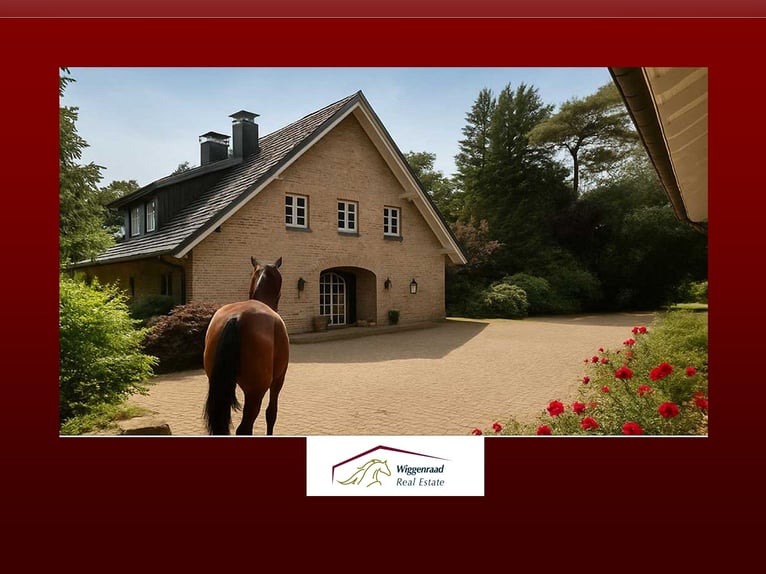 Splendido complesso equestre in posizione isolata nel NRW, Germania