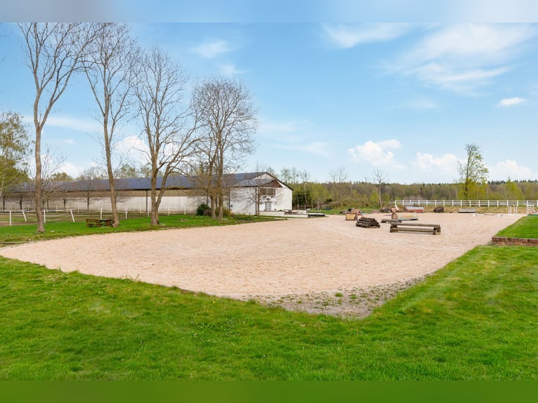 Springfield Farm – An Exclusive Property with International Potential, 18 ha