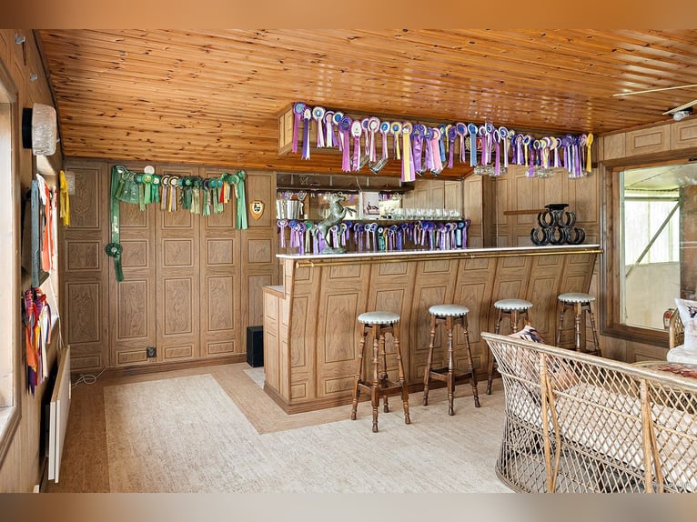 Springfield Farm – Una proprietà esclusiva con potenziale internazionale, 8 ettari