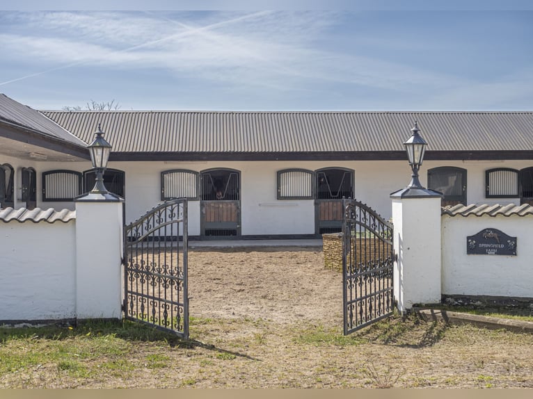 Springfield Farm – Una proprietà esclusiva con potenziale internazionale, 8 ettari