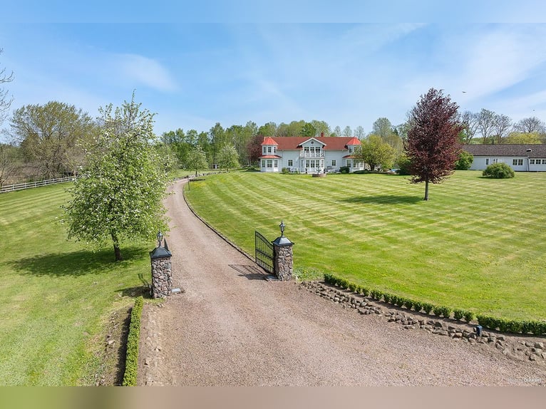 Springfield Farm – Una proprietà esclusiva con potenziale internazionale, 8 ettari