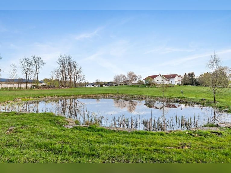 Springfield Farm – Una proprietà esclusiva con potenziale internazionale, 8 ettari