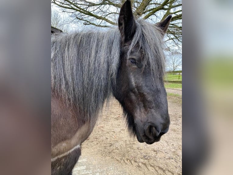 Storico complesso di grandi dimensioni con parco e lago privato, ideale per gli amanti della natura 
