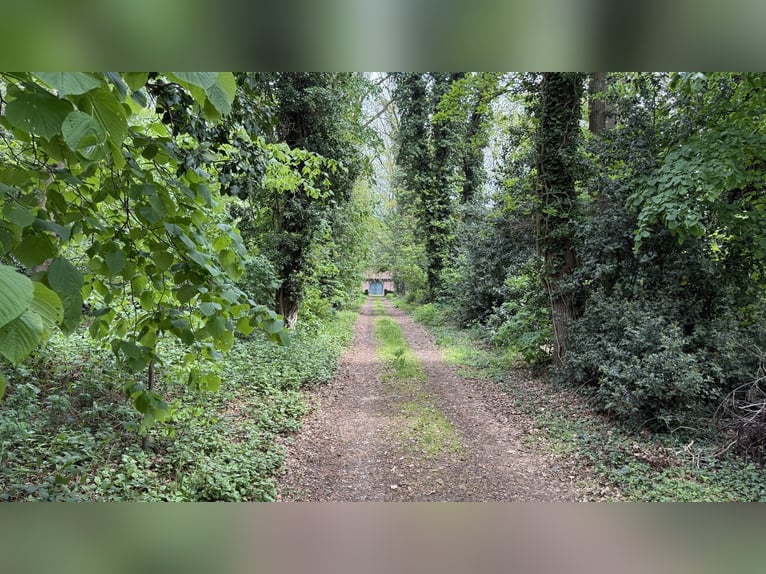Storico mulino in stile Fachwerk in vendita su un terreno da 1,9 a 9 ettari