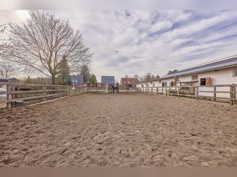 Struttura equestre a Dannenberg (Elba) in Bassa Sassonia – azienda ristrutturata con casa residenzia