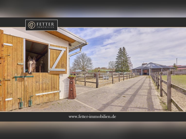 Struttura equestre a Dannenberg (Elba) in Bassa Sassonia – azienda ristrutturata con casa residenzia