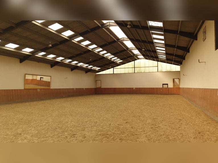 Struttura equestre attraente tra Montabaur e Limburg