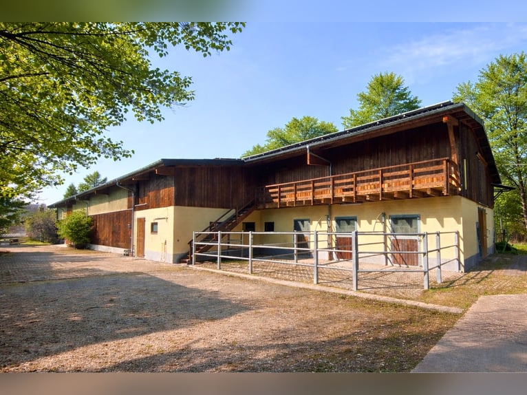 Struttura equestre con maneggio coperto nella valle del Werratal – un paradiso privato per i cavalli